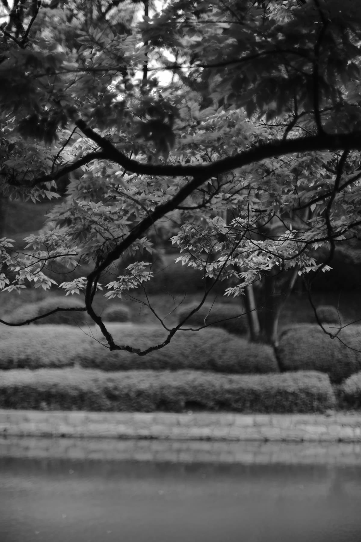 Revolving business line of credit for flexible business funding